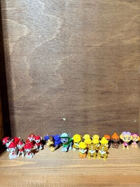 Paw Patrol 21 Piece Assortment